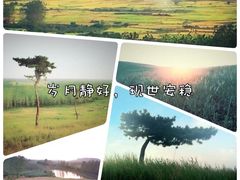 -恋山坝上草原