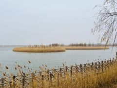 -野鸭湖国家湿地公园