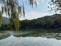 -杭州花家山庄