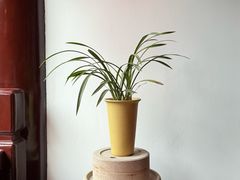 -上海白云观