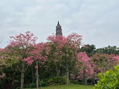 -顺峰山公园