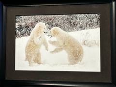 -罗红摄影艺术馆