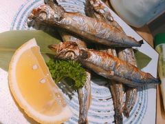 -酒井酱子·深夜食堂(东城汇店)