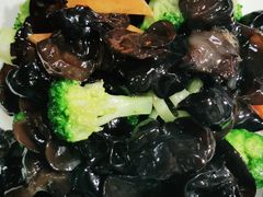 -确喜美味小厨(西单商场兰州店)