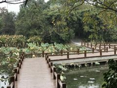 -艾溪湖湿地公园