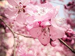 -西安曲江寒窑遗址公园