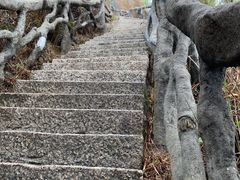 -梧桐山风景名胜区