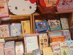 -九木杂物社(东方宝泰店)
