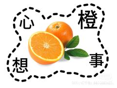 -大连凯丹广场