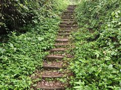 -青城山