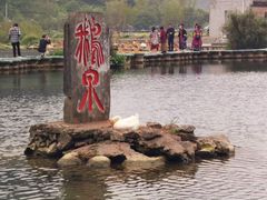 -靖西鹅泉风景区