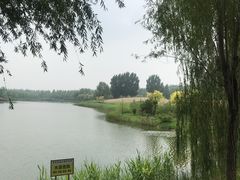 -东郊湿地公园