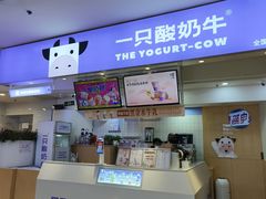 -一只酸奶牛(八一路店)