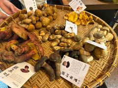 -滇野云南野生菌餐厅(陕西南路店)