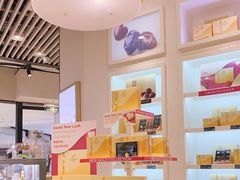 -GODIVA(国际金融中心店)