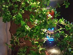-唐宫足道·SPA·住宿24H会所(木渎店)