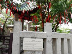 -云龙山