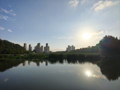 -前关湿地公园