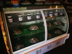 -太婆天府山珍酒楼(亚运村店)