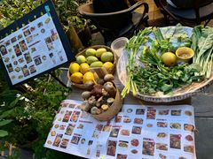 -缘生态云南菜·野生菌庭院餐厅(华侨城店)