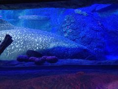 -沈阳海洋探索中心