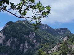 -王顺山国家森林公园