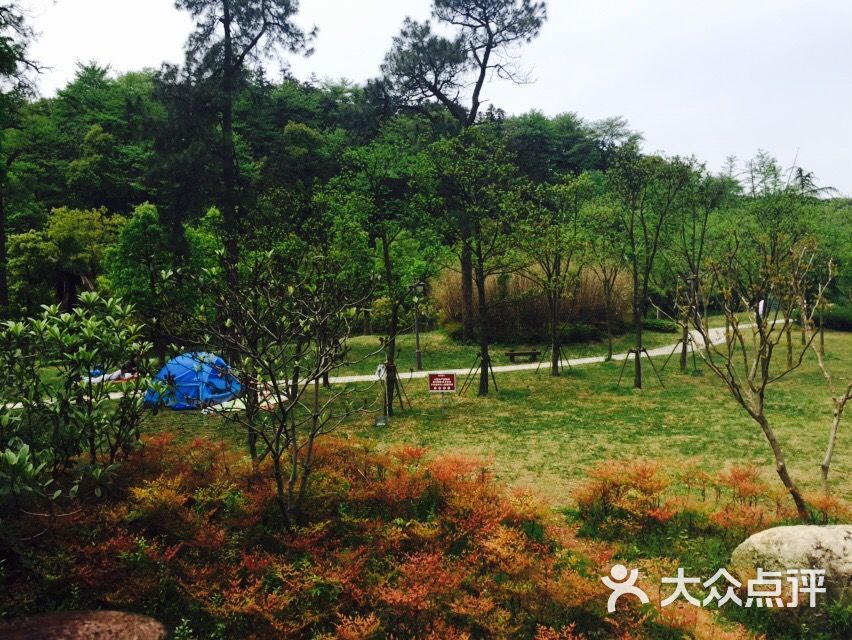 梁希森林公园-图片-湖州周边游-大众点评网