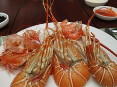 -Tivano意大利餐厅(成都居舍酒店)