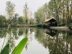 -溱湖国家湿地公园