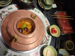 -菌自由丨野生菌火锅特色庭院餐厅(丽江古城店)