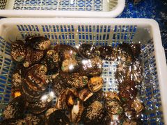 -阿明小菜·海鲜·上海菜(梅陇店)
