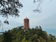 -缙云山景区