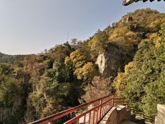 -北京鹫峰国家森林公园
