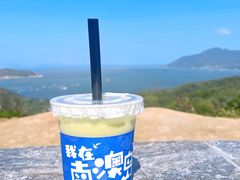-南澳岛打卡果汁冰公司