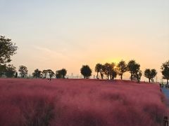 -汉长安城未央宫国家考古遗址公园