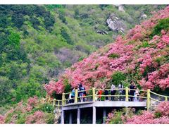 -木兰云雾山
