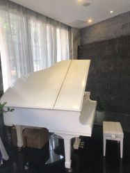 -比华利美容医院