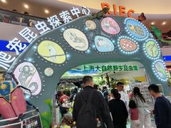 -上海大自然野生昆虫馆(东方明珠·爬宠昆虫探索中心)
