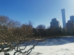 -团结湖公园