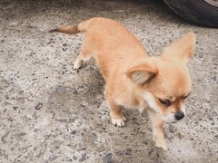 -乡乐园蟹庄·阳澄湖农家乐