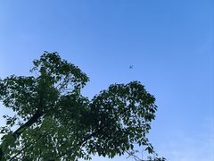 -成都南湖公园
