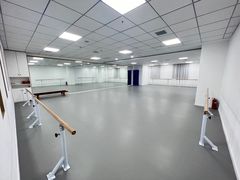 -西安小天鹅艺术团(金花路校区)