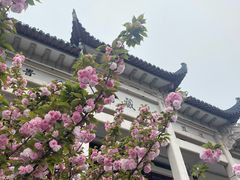 -长春观