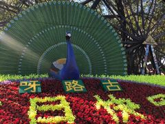 -呀路古热带植物园