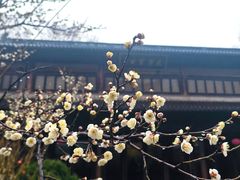-钱王祠