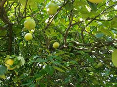 -千岛湖东南湖区