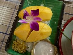 -Jungle Kitchen