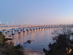 -星海湾跨海大桥