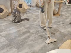 -楼上猫咖(罗湖店)