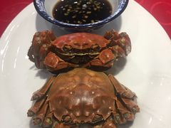 -老苏州芳和园茶酒楼  传统苏帮菜(观前店)